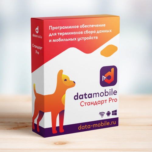 ПО DataMobile, версия Стандарт Pro в Орске