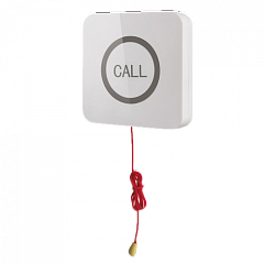 Кнопка вызова iBells 310S влагозащищенная со шнуром для МГН в Орске